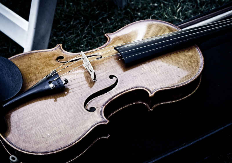 Photo of a violin